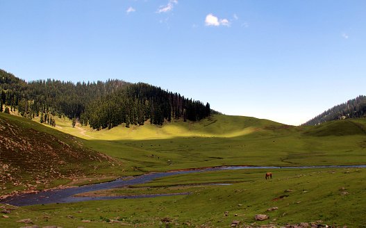 Fissure in Sandstone