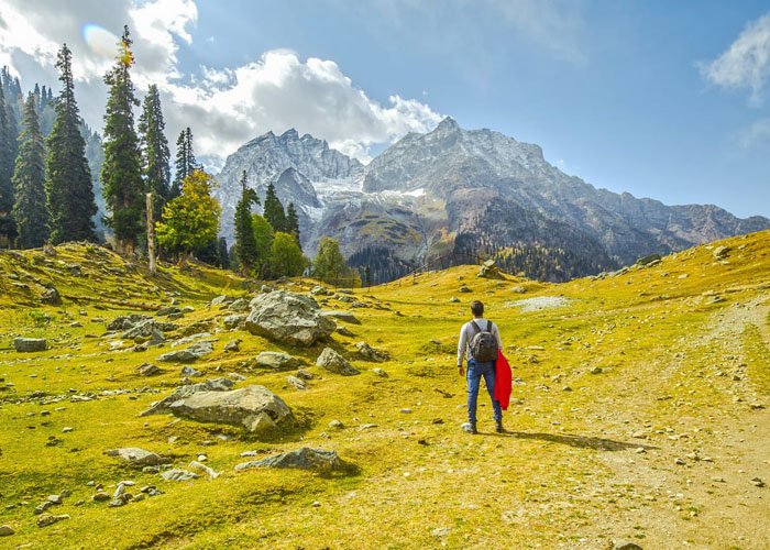 Fissure in Sandstone