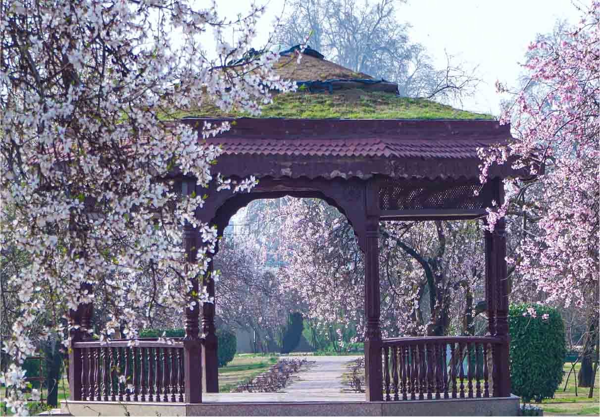 Fissure in Sandstone