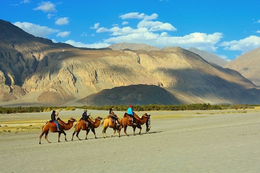 Fissure in Sandstone