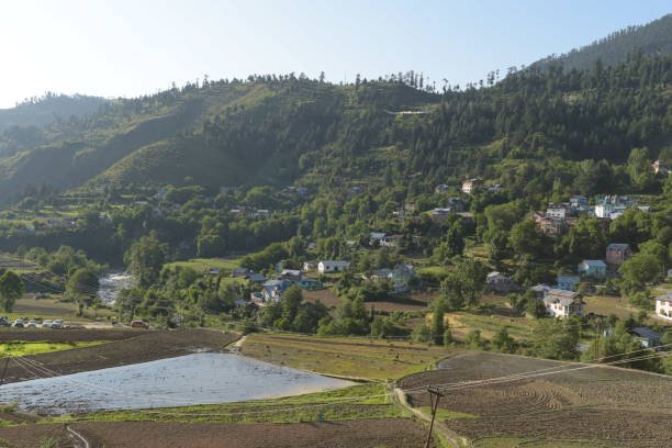 Fissure in Sandstone
