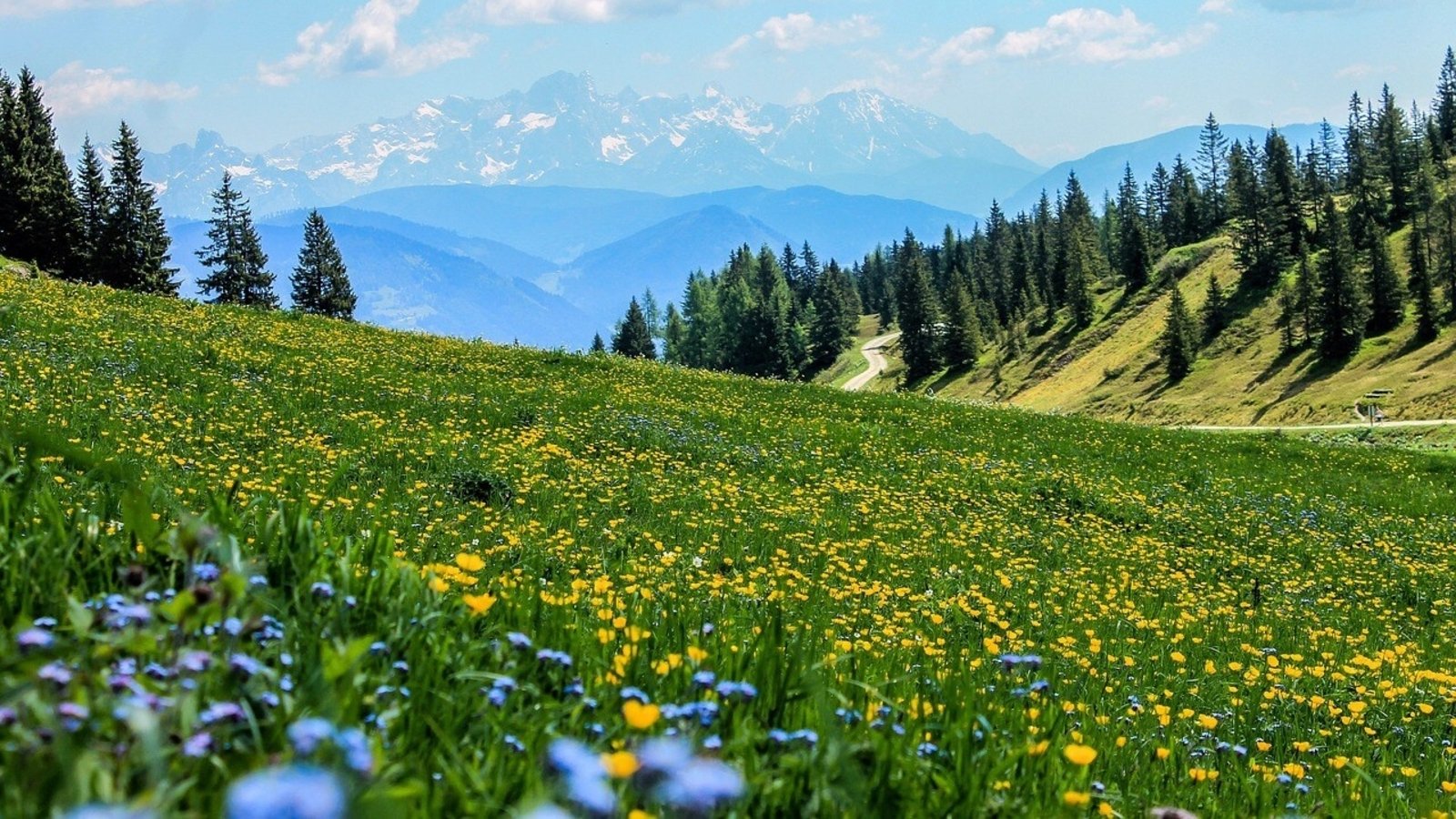 Fissure in Sandstone