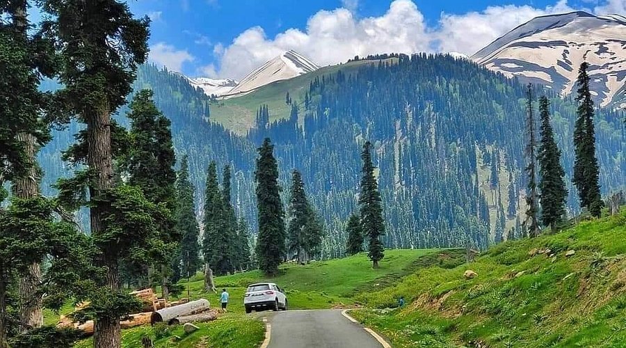 Fissure in Sandstone