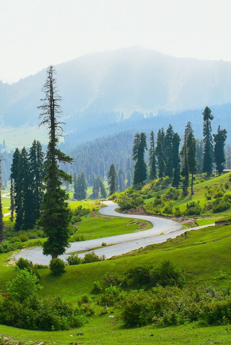 Fissure in Sandstone