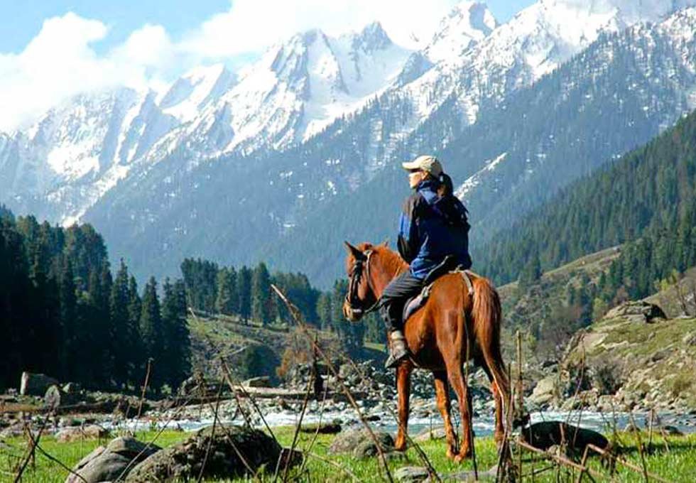 Fissure in Sandstone