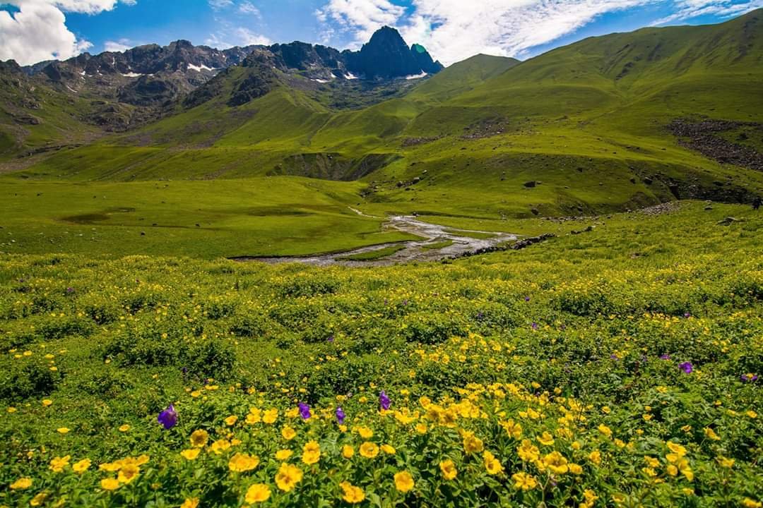 Fissure in Sandstone